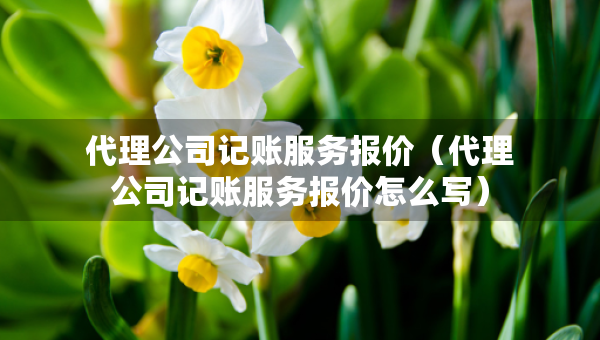 代理公司記賬服務(wù)報價（代理公司記賬服務(wù)報價怎么寫）