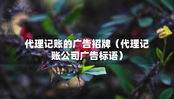 代理記賬的廣告招牌（代理記賬公司廣告標語）
