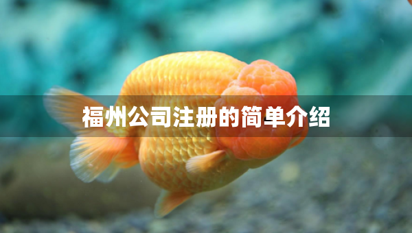 福州公司注冊的簡單介紹