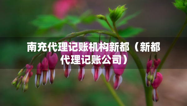 南充代理記賬機(jī)構(gòu)新都（新都代理記賬公司）