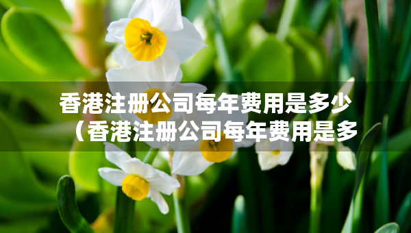 香港注冊(cè)公司每年費(fèi)用是多少（香港注冊(cè)公司每年費(fèi)用是多少錢）