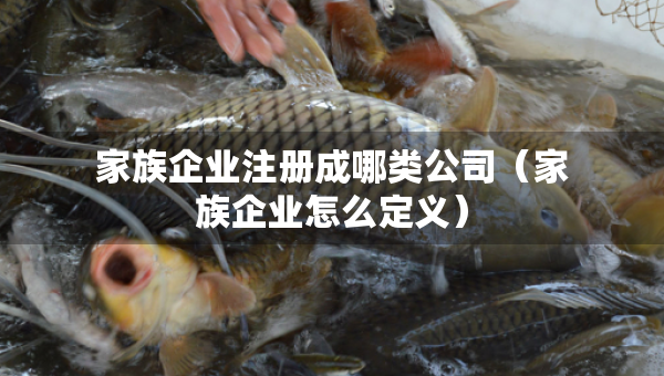 家族企業(yè)注冊成哪類公司（家族企業(yè)怎么定義）