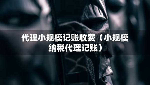 代理小規(guī)模記賬收費（小規(guī)模納稅代理記賬）