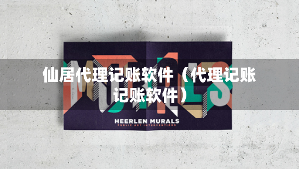仙居代理記賬軟件（代理記賬記賬軟件）