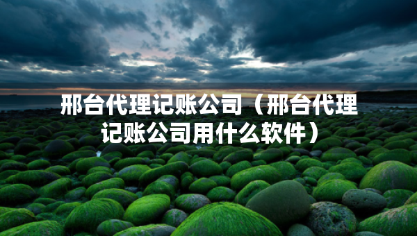 邢臺代理記賬公司（邢臺代理記賬公司用什么軟件）