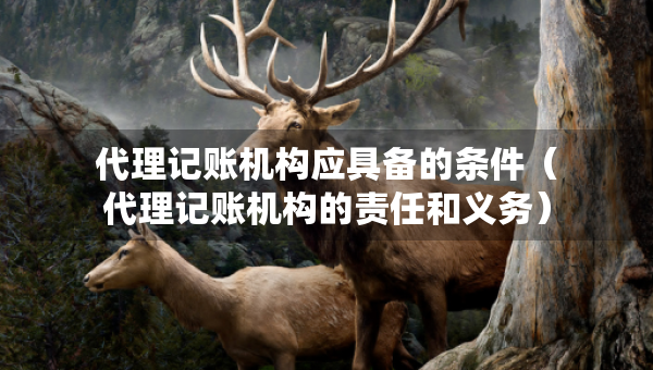 代理記賬機(jī)構(gòu)應(yīng)具備的條件（代理記賬機(jī)構(gòu)的責(zé)任和義務(wù)）