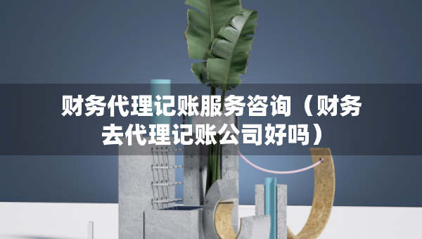 財(cái)務(wù)代理記賬服務(wù)咨詢（財(cái)務(wù)去代理記賬公司好嗎）