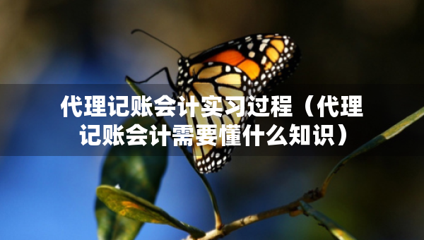 代理記賬會計實習(xí)過程（代理記賬會計需要懂什么知識）