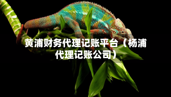 黃浦財務(wù)代理記賬平臺（楊浦代理記賬公司）
