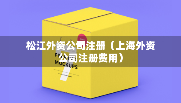 松江外資公司注冊（上海外資公司注冊費用）