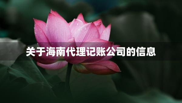 關(guān)于海南代理記賬公司的信息