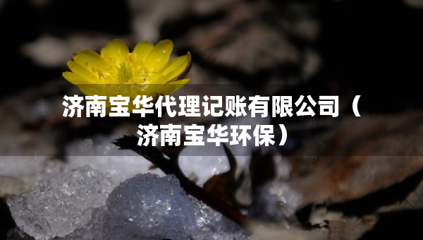 濟(jì)南寶華代理記賬有限公司（濟(jì)南寶華環(huán)保）