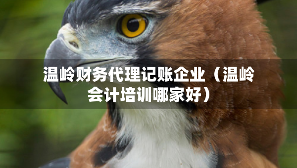 溫嶺財(cái)務(wù)代理記賬企業(yè)（溫嶺會(huì)計(jì)培訓(xùn)哪家好）