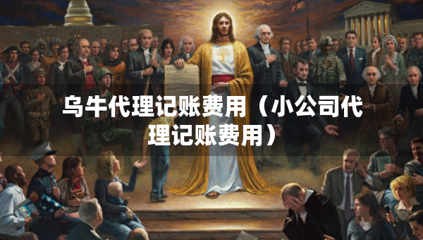 烏牛代理記賬費(fèi)用（小公司代理記賬費(fèi)用）