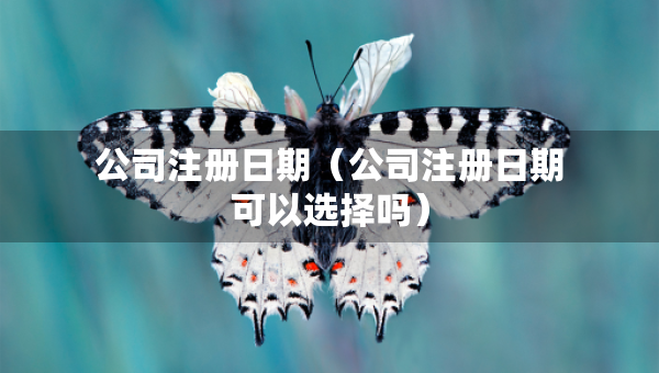 公司注冊(cè)日期（公司注冊(cè)日期可以選擇嗎）