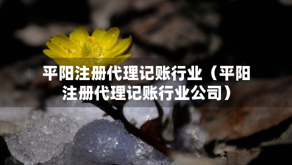 平陽注冊代理記賬行業(yè)（平陽注冊代理記賬行業(yè)公司）