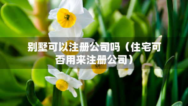 別墅可以注冊(cè)公司嗎（住宅可否用來注冊(cè)公司）