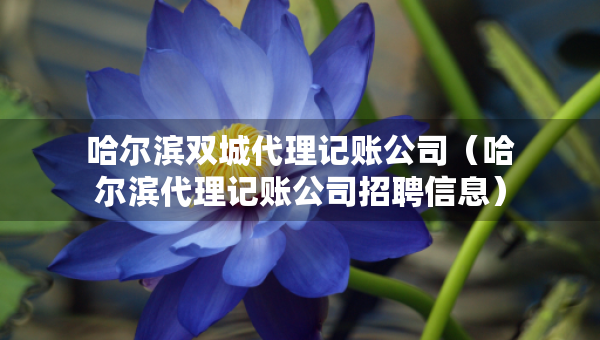 哈爾濱雙城代理記賬公司（哈爾濱代理記賬公司招聘信息）