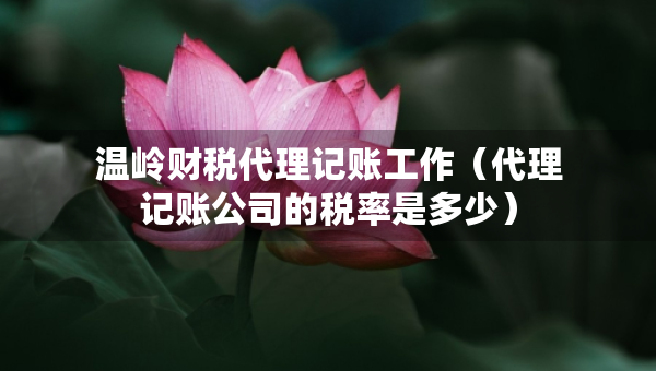 溫嶺財稅代理記賬工作（代理記賬公司的稅率是多少）