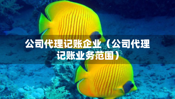 公司代理記賬企業(yè)（公司代理記賬業(yè)務(wù)范圍）