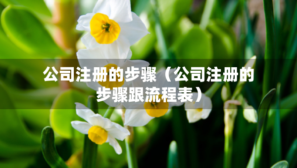 公司注冊(cè)的步驟（公司注冊(cè)的步驟跟流程表）