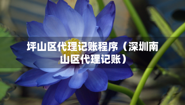 坪山區(qū)代理記賬程序（深圳南山區(qū)代理記賬）