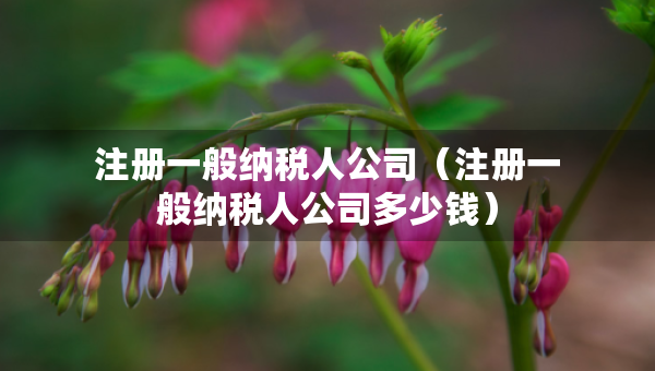注冊一般納稅人公司（注冊一般納稅人公司多少錢）