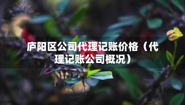 廬陽區(qū)公司代理記賬價格（代理記賬公司概況）