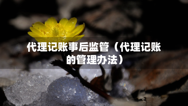 代理記賬事后監(jiān)管（代理記賬的管理辦法）