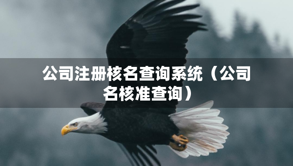公司注冊核名查詢系統(tǒng)（公司名核準查詢）
