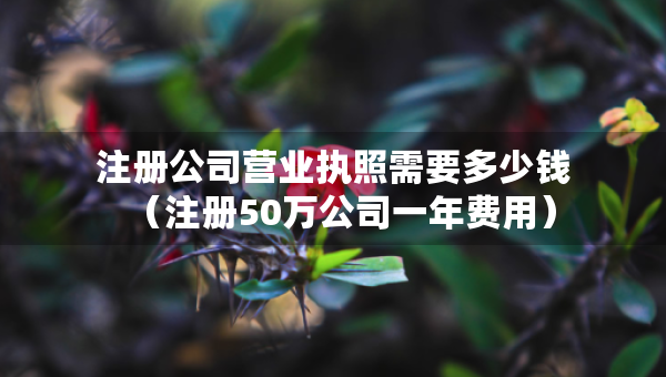 注冊(cè)公司營業(yè)執(zhí)照需要多少錢（注冊(cè)50萬公司一年費(fèi)用）