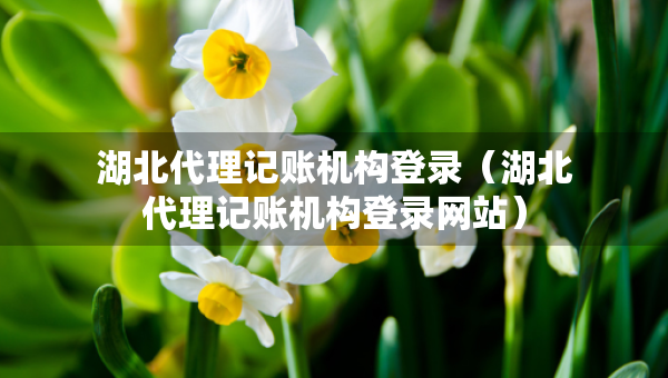 湖北代理記賬機(jī)構(gòu)登錄（湖北代理記賬機(jī)構(gòu)登錄網(wǎng)站）