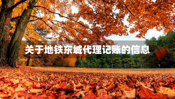關(guān)于地鐵東城代理記賬的信息
