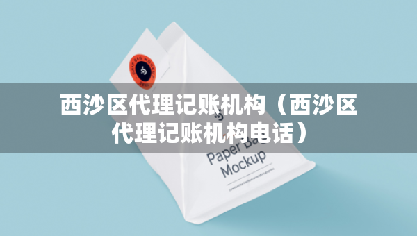 西沙區(qū)代理記賬機構(gòu)（西沙區(qū)代理記賬機構(gòu)電話）