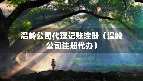 溫嶺公司代理記賬注冊(cè)（溫嶺公司注冊(cè)代辦）