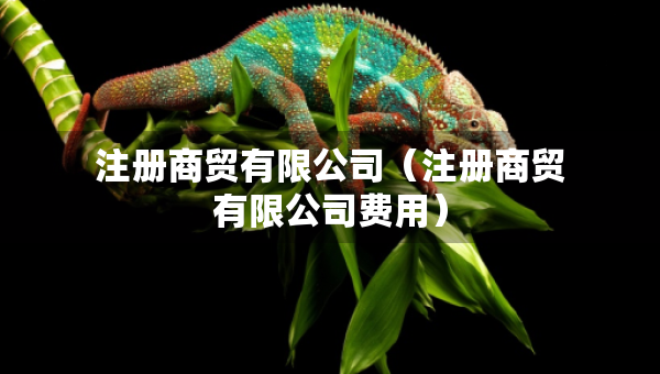注冊(cè)商貿(mào)有限公司（注冊(cè)商貿(mào)有限公司費(fèi)用）