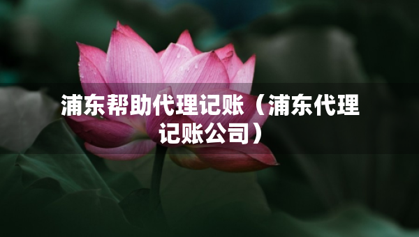 浦東幫助代理記賬（浦東代理記賬公司）