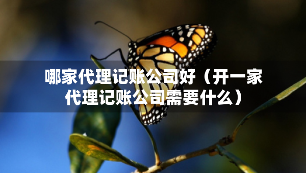 哪家代理記賬公司好（開(kāi)一家代理記賬公司需要什么）