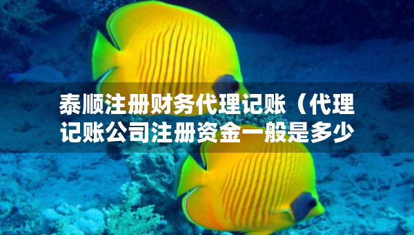 泰順注冊(cè)財(cái)務(wù)代理記賬（代理記賬公司注冊(cè)資金一般是多少）