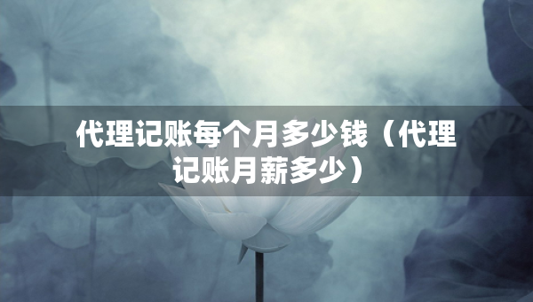 代理記賬每個(gè)月多少錢(qián)（代理記賬月薪多少）