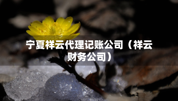 寧夏祥云代理記賬公司（祥云財(cái)務(wù)公司）