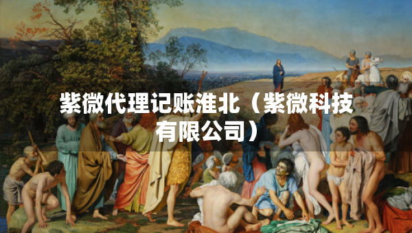 紫微代理記賬淮北（紫微科技有限公司）