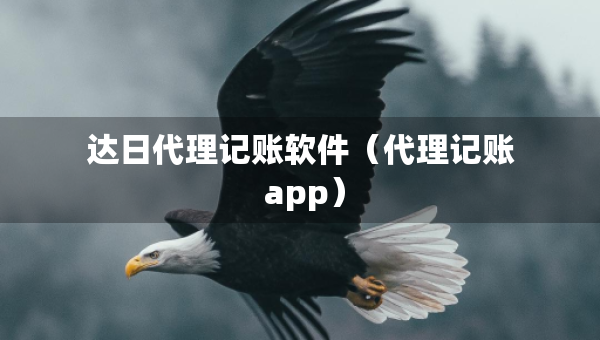 達日代理記賬軟件（代理記賬 app）