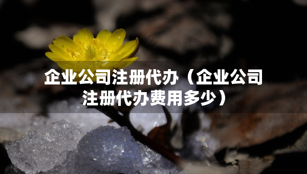 企業(yè)公司注冊(cè)代辦（企業(yè)公司注冊(cè)代辦費(fèi)用多少）