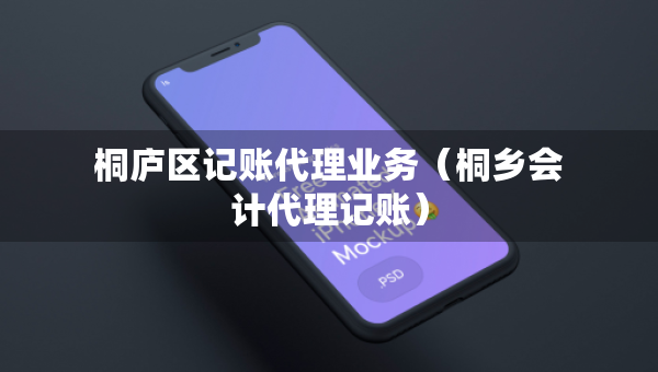 桐廬區(qū)記賬代理業(yè)務(wù)（桐鄉(xiāng)會(huì)計(jì)代理記賬）