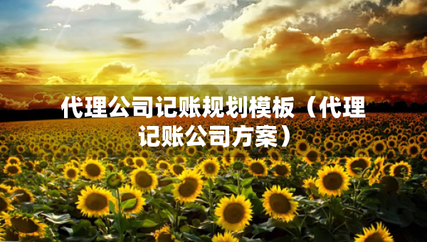 代理公司記賬規(guī)劃模板（代理記賬公司方案）