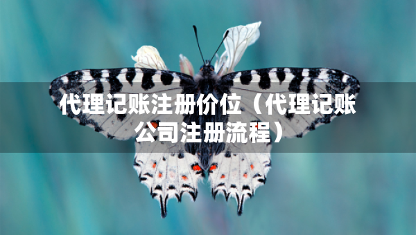 代理記賬注冊(cè)價(jià)位（代理記賬公司注冊(cè)流程）