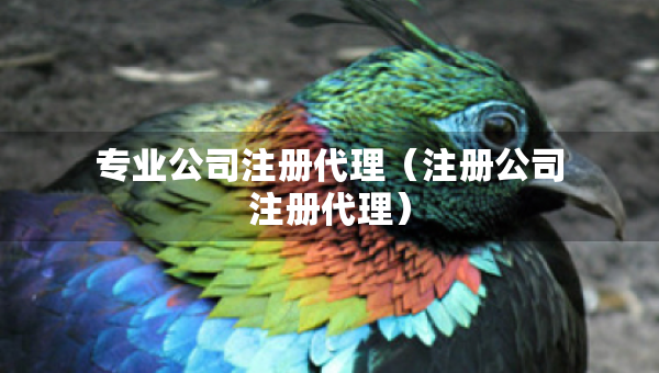 專業(yè)公司注冊(cè)代理（注冊(cè)公司注冊(cè)代理）