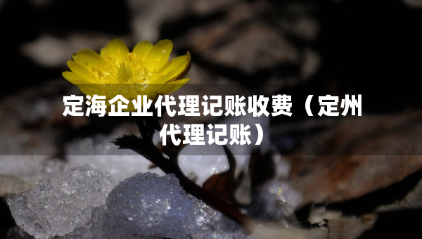 定海企業(yè)代理記賬收費(fèi)（定州代理記賬）