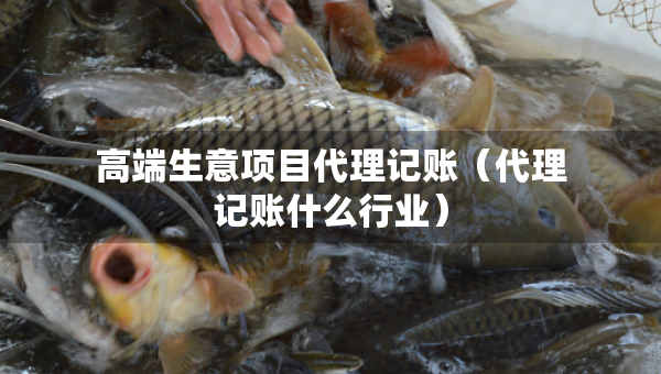 高端生意項目代理記賬（代理記賬什么行業(yè)）